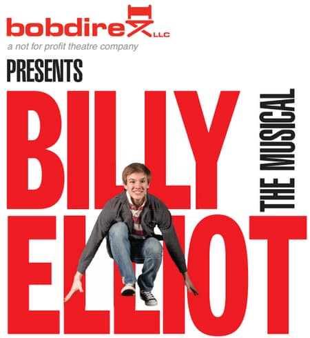 Bobdirex Logo Resize