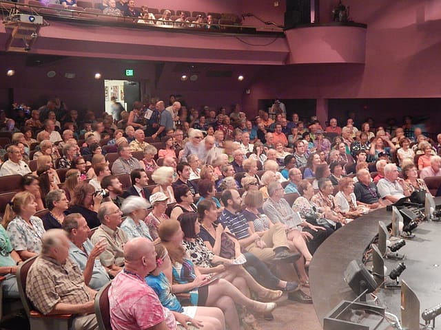 Thew 432 seat Venice Theatre