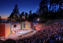 Meet Billy Elliot: Woodminster Summer Musicals (Oakland, CA)